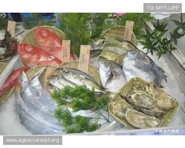 博鱼真人在线娱乐体验全攻略,全面解析游戏规则与最佳操作策略 博鱼真人在线娱乐体验全攻略,全面解析游戏规则与最佳操作策略